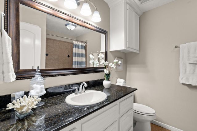 10668 Royal Magnolia Drive, Conroe, TX 77303