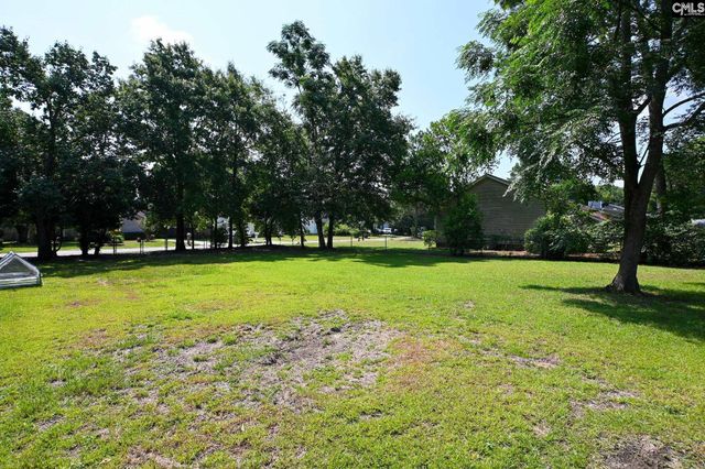 203 Condor Route, Lexington, SC 29073