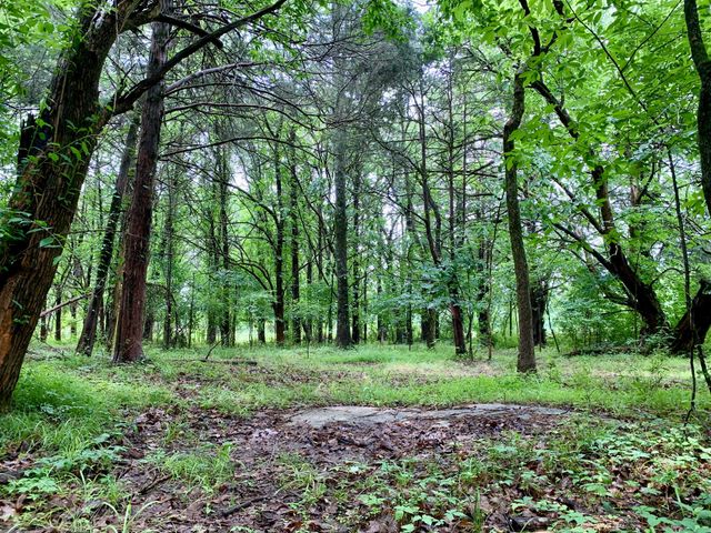 1 Rucker Road, Christiana, TN 37037