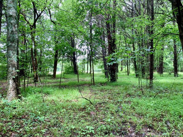 1 Rucker Road, Christiana, TN 37037