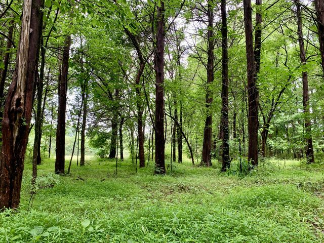 1 Rucker Road, Christiana, TN 37037