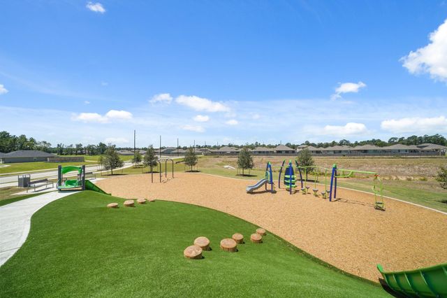 16538 Pinecone Grove Lane, Magnolia, TX 77355