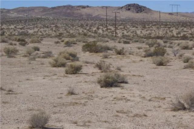 46016 MANIX Road, Newberry Springs, CA 92365