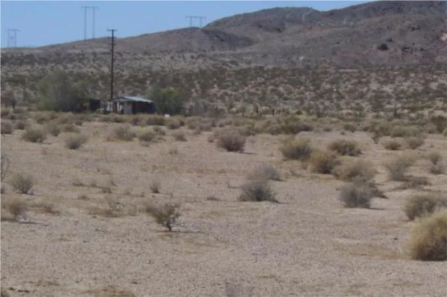 46016 MANIX Road, Newberry Springs, CA 92365