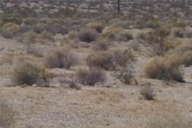 46016 MANIX Road, Newberry Springs, CA 92365