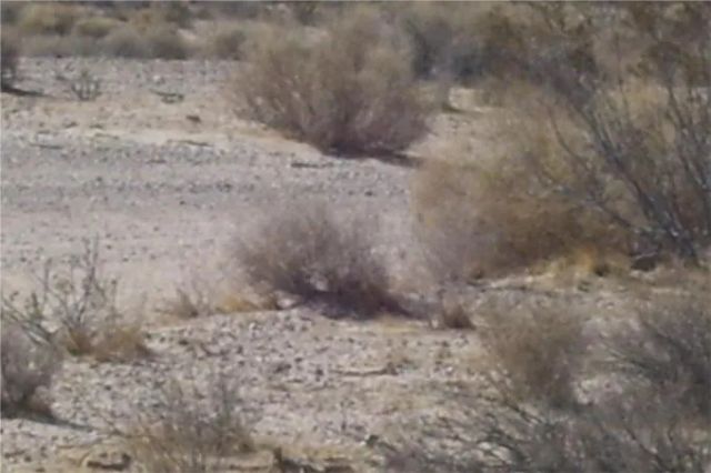 46016 MANIX Road, Newberry Springs, CA 92365