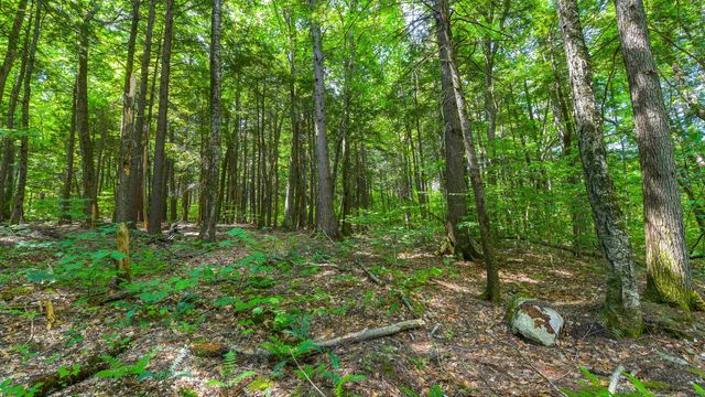 148 Summit View Drive, Tamworth, NH 03886