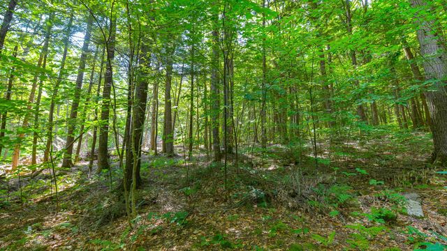148 Summit View Drive, Tamworth, NH 03886