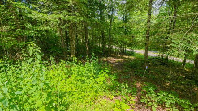 148 Summit View Drive, Tamworth, NH 03886