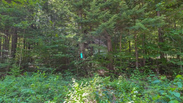 148 Summit View Drive, Tamworth, NH 03886