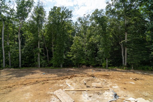 7037 Hall Rd, Greenbrier, TN 37073