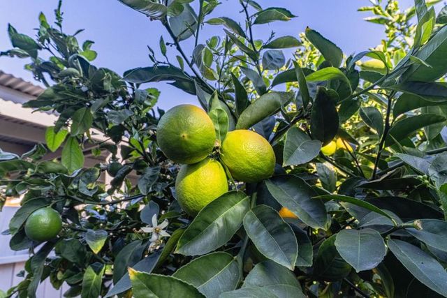 813 Pajaro Street, Salinas, CA 93901