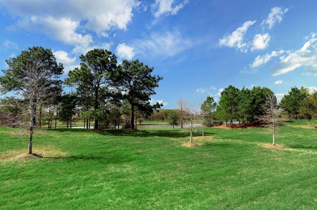 11627 Tranquility Summit Drive, Cypress, TX 77433