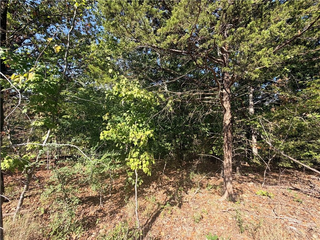 11 Hurlford Lane, Bella Vista, AR 72715