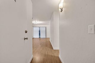 771 771 Kingston Ave 104, Oakland, CA 94611