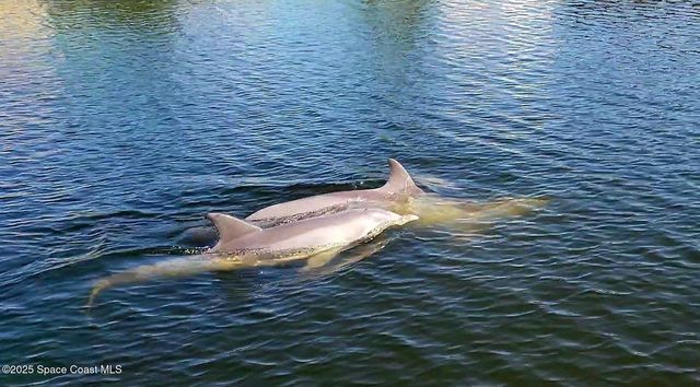 145 Artemis Boulevard, Merritt Island, FL 32953