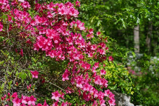 184 Lystra Estates Drive, Chapel Hill, NC 27517