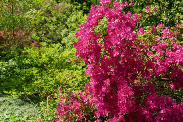 184 Lystra Estates Drive, Chapel Hill, NC 27517