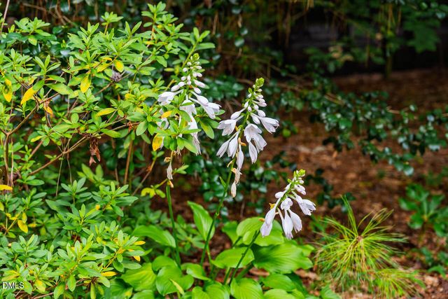 184 Lystra Estates Drive, Chapel Hill, NC 27517