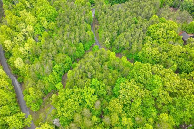 60 Old Barn Road, Moneta, VA 24121