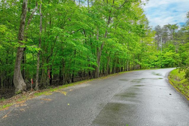 60 Old Barn Road, Moneta, VA 24121