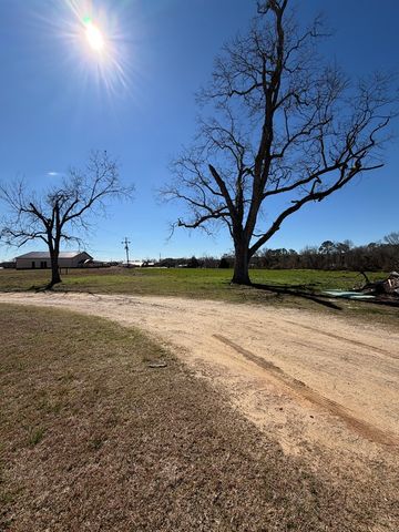 7198 S County Rd. 33, Cottonwood, AL 36320