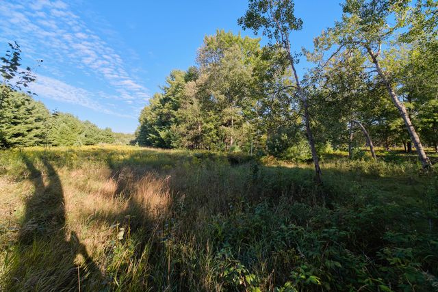 2264 Revolt Road, Manistee Twp, MI 49660