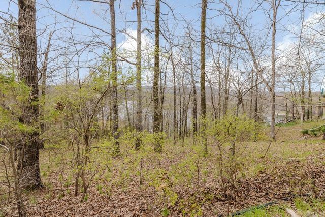 123 MURRAY HILL PLACE, Hot Springs, AR 71913