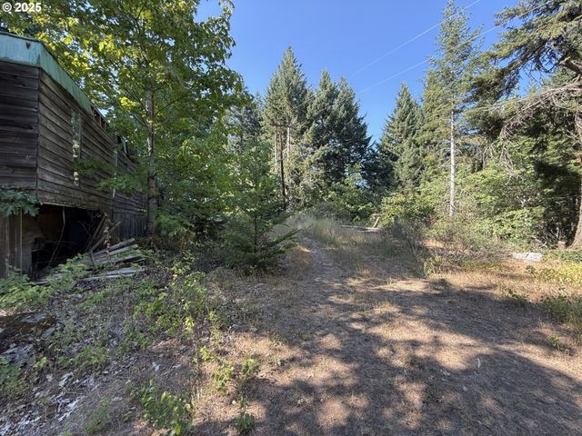 121 Cooke Rd, White Salmon, WA 98672