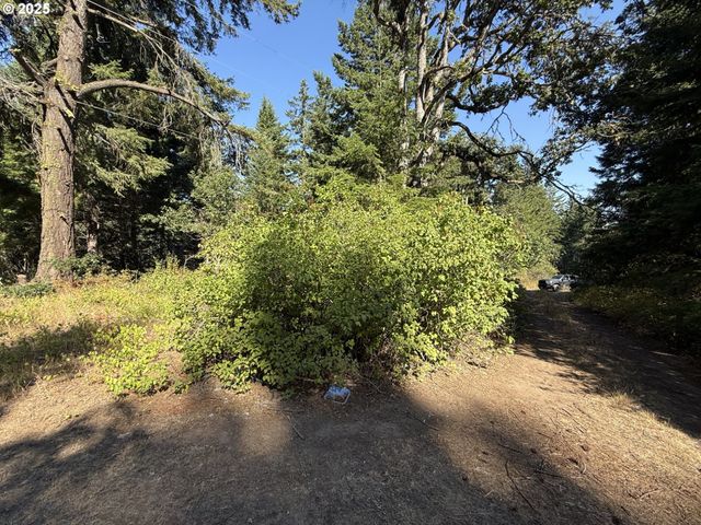 121 Cooke Rd, White Salmon, WA 98672