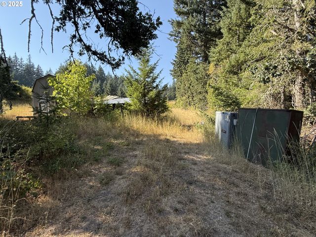 121 Cooke Rd, White Salmon, WA 98672