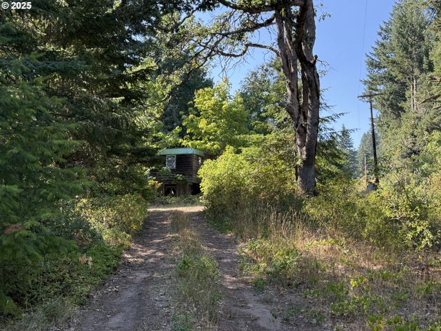 121 Cooke Rd, White Salmon, WA 98672