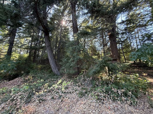 121 Cooke Rd, White Salmon, WA 98672