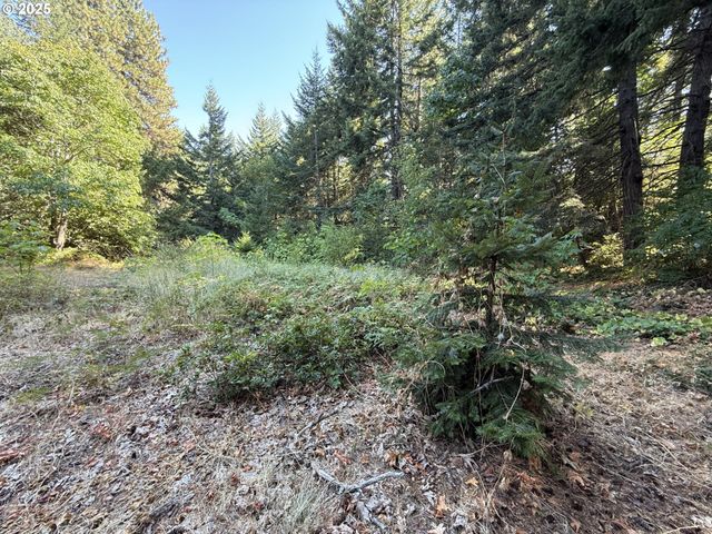 121 Cooke Rd, White Salmon, WA 98672