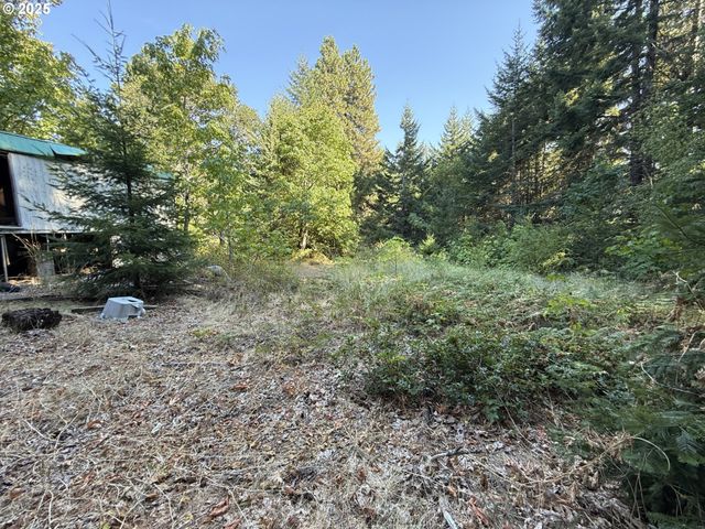 121 Cooke Rd, White Salmon, WA 98672