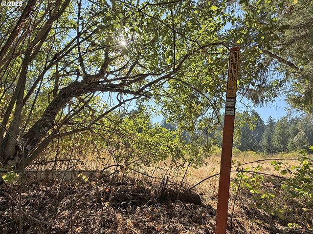 121 Cooke Rd, White Salmon, WA 98672