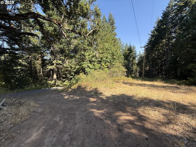 121 Cooke Rd, White Salmon, WA 98672