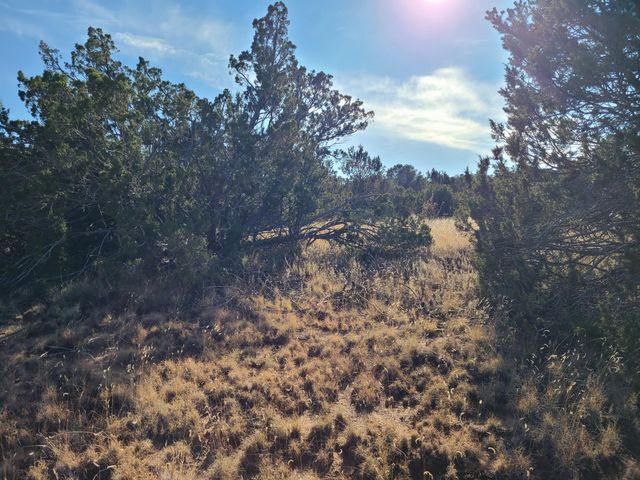 0 Rosewood Drive 12, Tajique, NM 87016