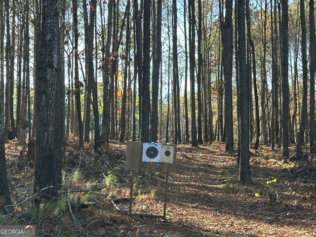 202 S Taylor Road, Talbotton, GA 31827