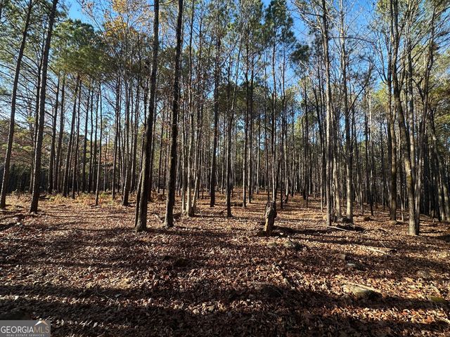 202 S Taylor Road, Talbotton, GA 31827