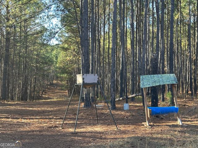 202 S Taylor Road, Talbotton, GA 31827