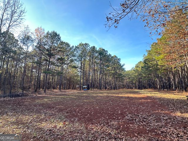 202 S Taylor Road, Talbotton, GA 31827