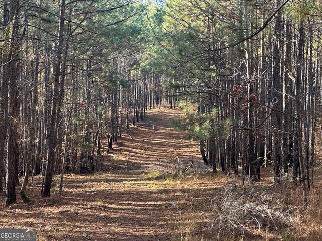 202 S Taylor Road, Talbotton, GA 31827