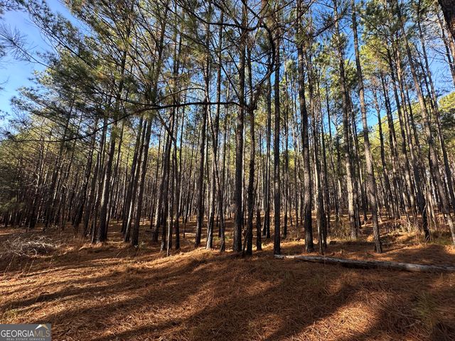 202 S Taylor Road, Talbotton, GA 31827