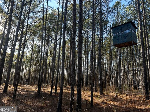 202 S Taylor Road, Talbotton, GA 31827