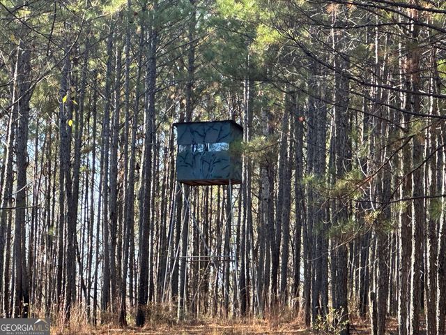 202 S Taylor Road, Talbotton, GA 31827