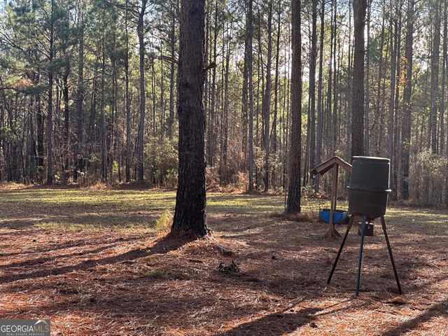 202 S Taylor Road, Talbotton, GA 31827