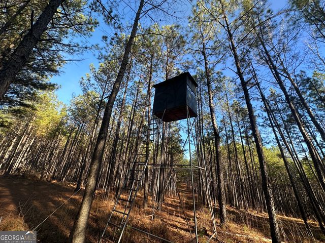 202 S Taylor Road, Talbotton, GA 31827