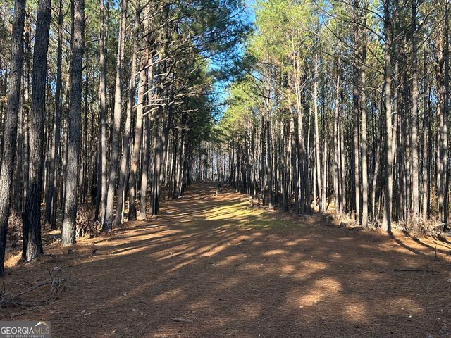 202 S Taylor Road, Talbotton, GA 31827