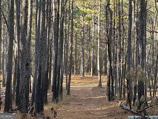 202 S Taylor Road, Talbotton, GA 31827